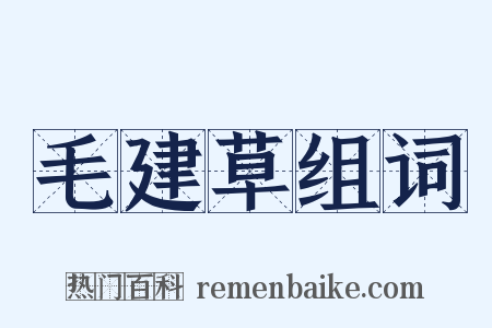 毛建草组词是什么意思的图片